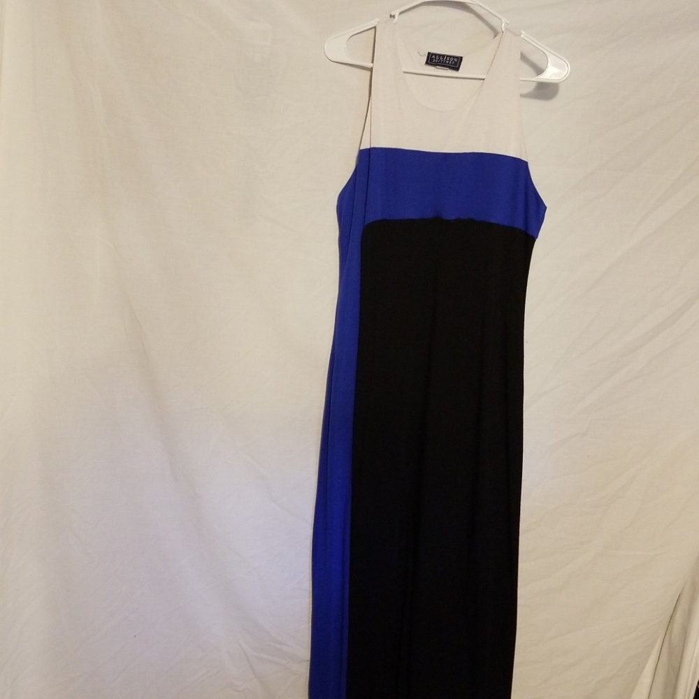 Allison Brittney large long dress